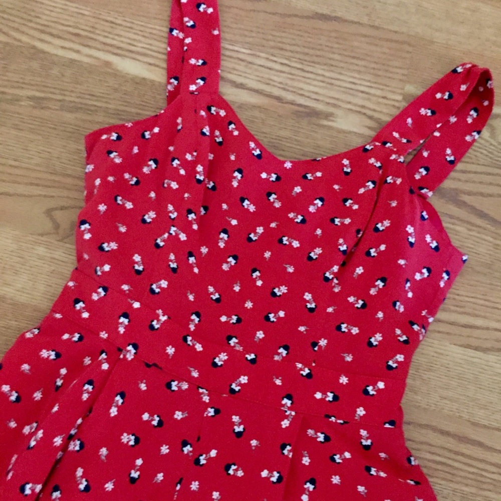 Minnie Mouse dress!